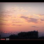 夕阳。西下图片 自然风光 风景图片