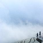 雾中梯田图片 自然风光 风景图片