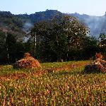 《土楼炊烟》图片 自然风光 风景图片