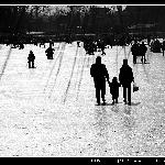 观花北京图片 自然风光 风景图片