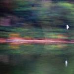 黄昏幻彩图片 自然风光 风景图片