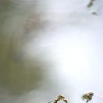 碧水醉心图片 自然风光 风景图片