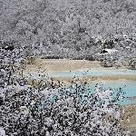 不可不去之黄龙图片 自然风光 风景图片