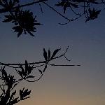 夕阳下－地王图片 自然风光 风景图片