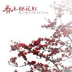 春·木棉花红图片 自然风光 风景图片