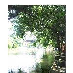 现代的古村落-小洲图片 自然风光 风景图片