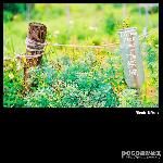 香港离岛（菲林）图片 自然风光 风景图片