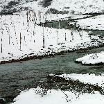 西藏五月的雪图片 自然风光 风景图片
