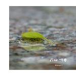 中山公园雨后掠景图片 自然风光 风景图片