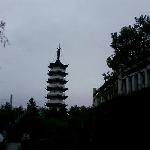 雨游茶园图片 自然风光 风景图片
