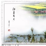 《三月菜花黄》图片 自然风光 风景图片