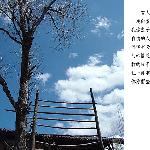 小景写意图片 自然风光 风景图片
