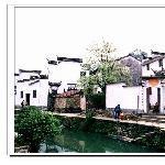 无边春色入梦来(二)...婺源行图片 自然风光 风景图片