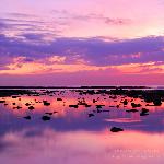 涠洲岛日出图片 自然风光 风景图片