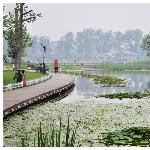 静静的园图片 自然风光 风景图片