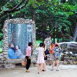 韩国南怡岛印象图片 自然风光 风景图片