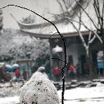 “雪中的无锡”之锡惠公园图片 自然风光 风景图片
