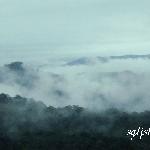 天井山晨雾图片 自然风光 风景图片