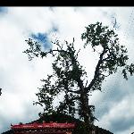 康巴第一萨迦古寺和喇嘛们图片 自然风光 风景图片