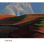 【东川红土地】怡红快绿图片 自然风光 风景图片