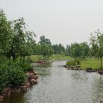 “滨江森林公园”游记图片 自然风光 风景图片