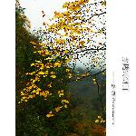 秋游东拉山图片 自然风光 风景图片