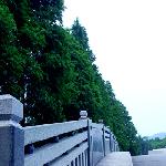 南植物园图片 自然风光 风景图片