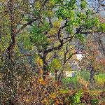 圣人堂村的秋天图片 自然风光 风景图片
