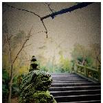 温州雁荡山（年月日摄）第二集图片 自然风光 风景图片