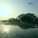 初夏的武汉琴台图片 自然风光 风景图片
