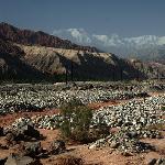 走马观花看新疆(五)---朝拜冰川之父---慕士塔格图片 自然风光 风景图片