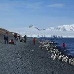 壮观南极企鹅世界图片 自然风光 风景图片
