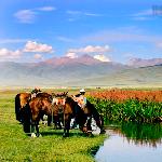 新疆天鹅湖图片 自然风光 风景图片