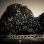 星湖杂片乱上一堆当花絮&#;图片 自然风光 风景图片