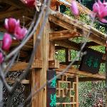 涵芳图片 自然风光 风景图片