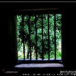 窗外好景图片 自然风光 风景图片