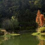 穿石湖畔秋意浓图片 自然风光 风景图片