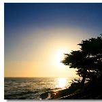 海·树影·夕照图片 自然风光 风景图片