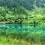 蜜月之旅-九寨图片 自然风光 风景图片