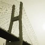 端午假日南浦大桥之行 II图片 自然风光 风景图片