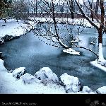 【北大燕园雪景】图片 自然风光 风景图片