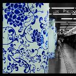 我是鸟巢观光客图片 自然风光 风景图片