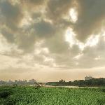 选美顺德——德胜大汕岛图片 自然风光 风景图片