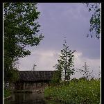 乡村野趣图片 自然风光 风景图片