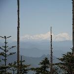 贡嘎雪峰图片 自然风光 风景图片