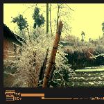 雪村忆冬图片 自然风光 风景图片