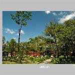 《都高掠影》图片 自然风光 风景图片