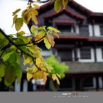 乌木苑随拍图片 自然风光 风景图片