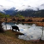 寻梦桃花源图片 自然风光 风景图片