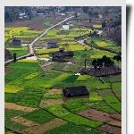 静谧田园图片 自然风光 风景图片